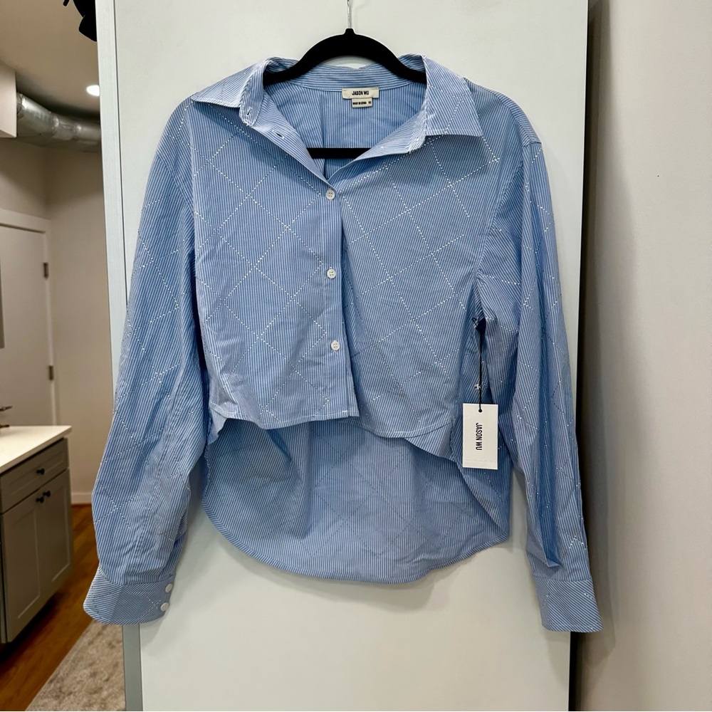 Jason Wu Striped Blue Shirt